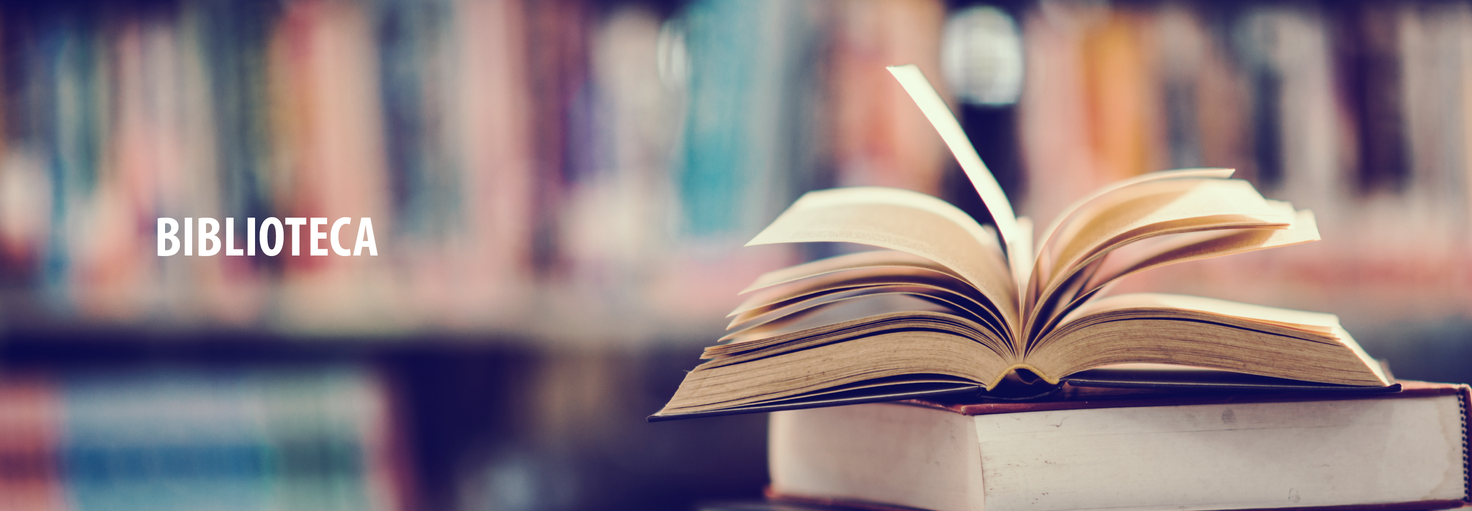 BIBLIOTECA