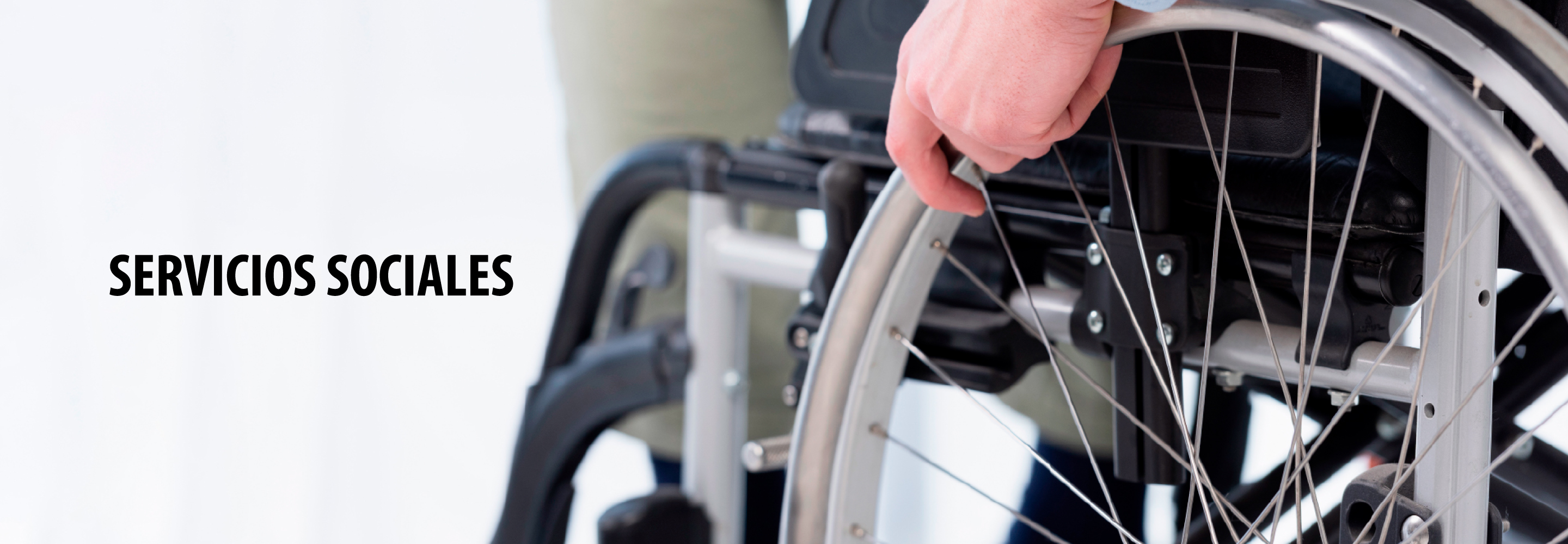 SERVICIOS SOCIALES