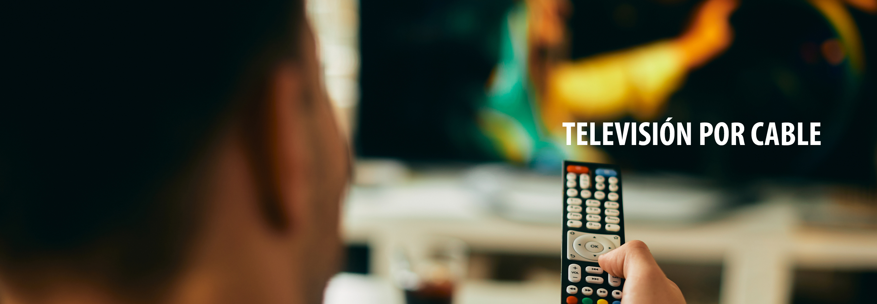 TV POR CABLE